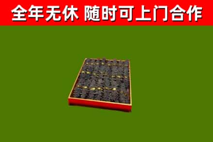 德钦县回收海参
